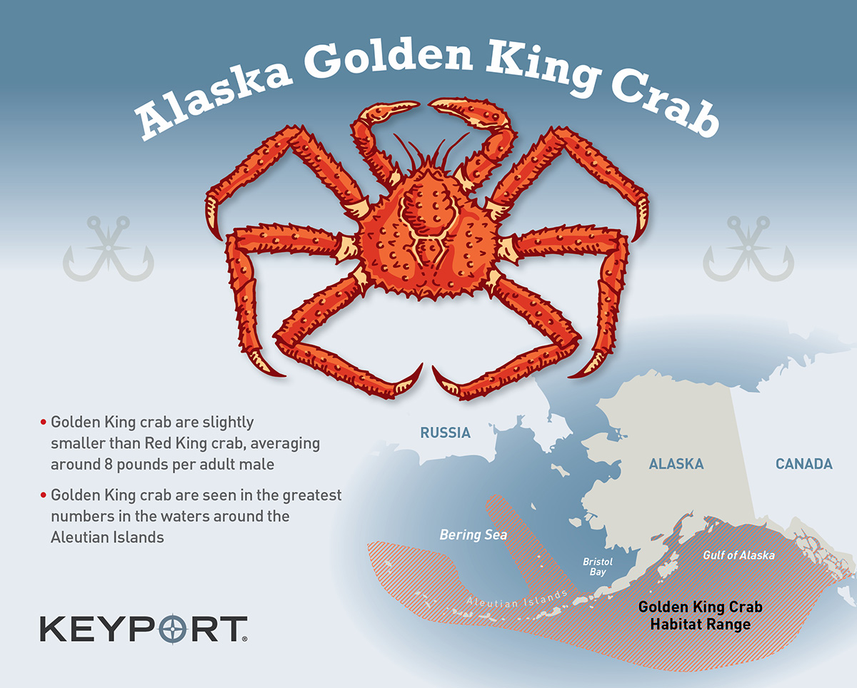 Keyport - Alaska Golden King Crab
